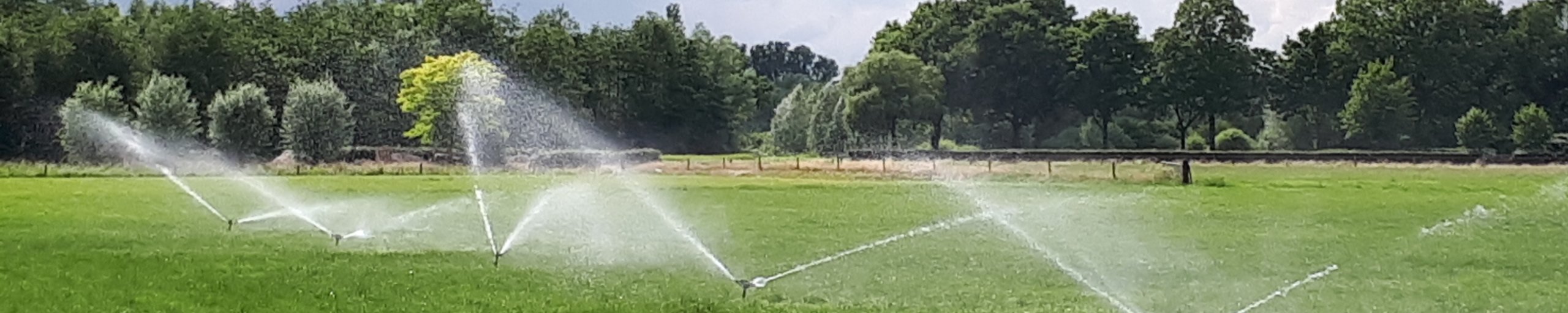 grasveld met watersproeiers
