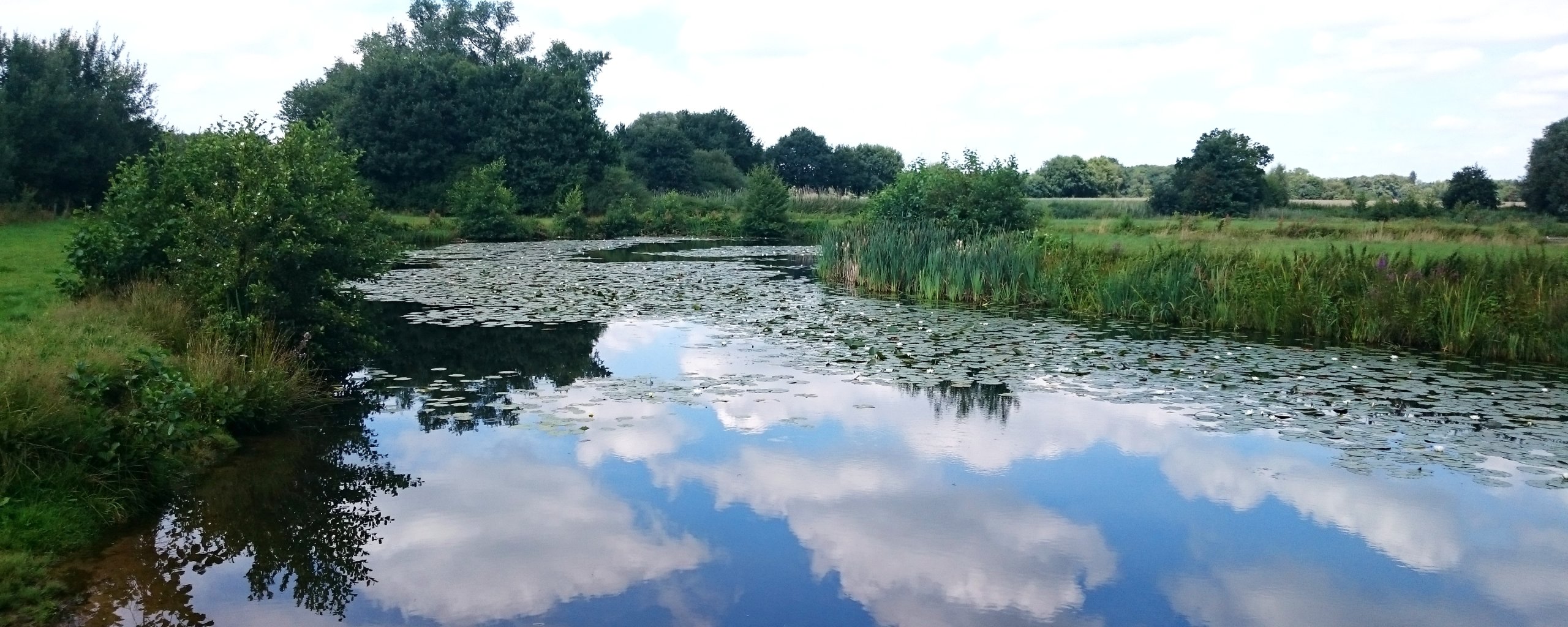 Waterbeheer programma